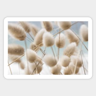 Bunny tails. Sticker